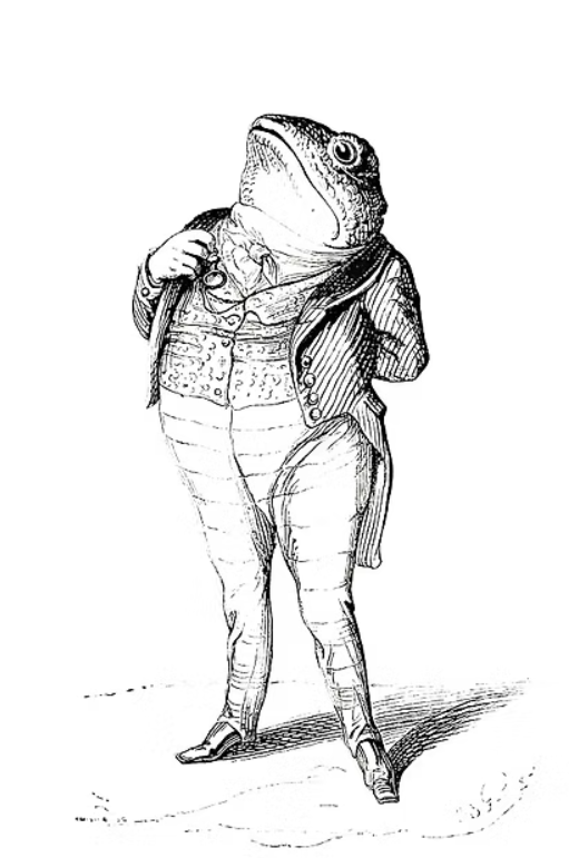 aboijt
